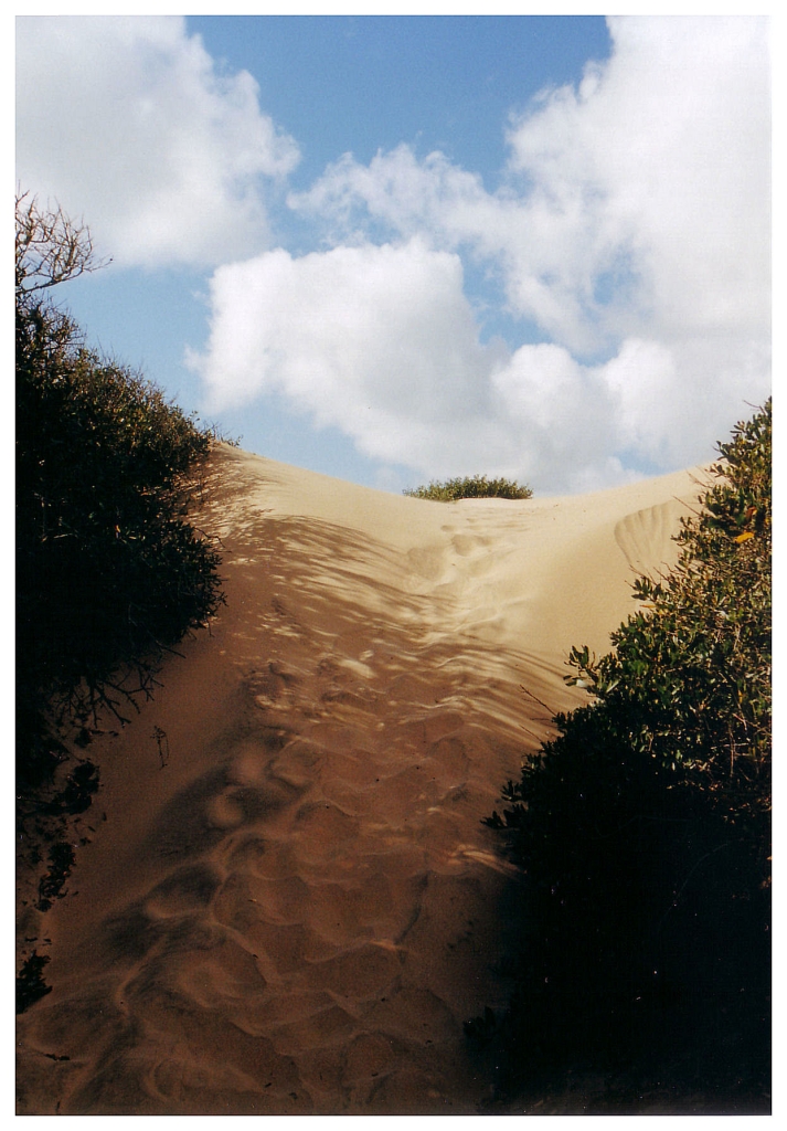 15 - Monterey Bay (11).jpg